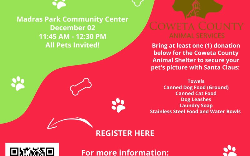 Happy Howl-idays at Madras Park